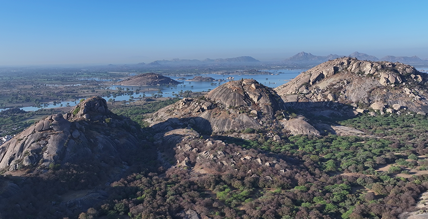 Leopard Hills in Jawai