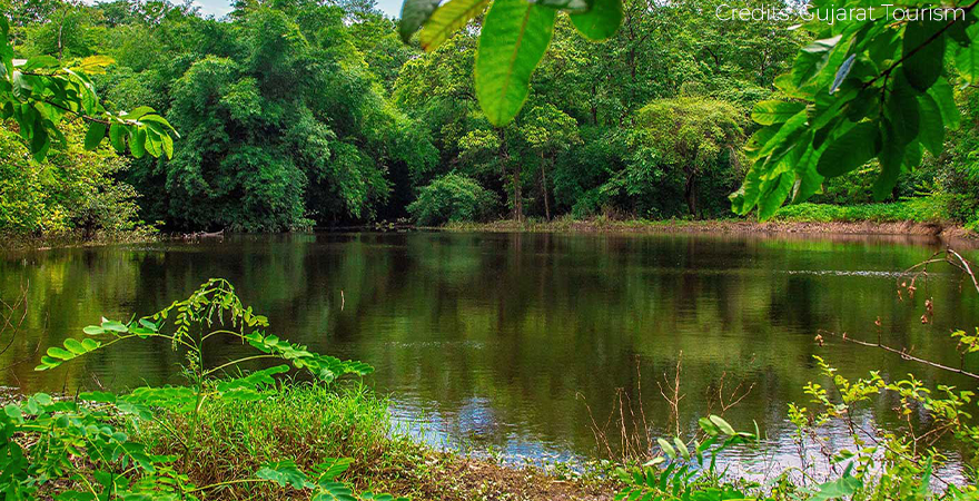 Saputara Beautiful Destination