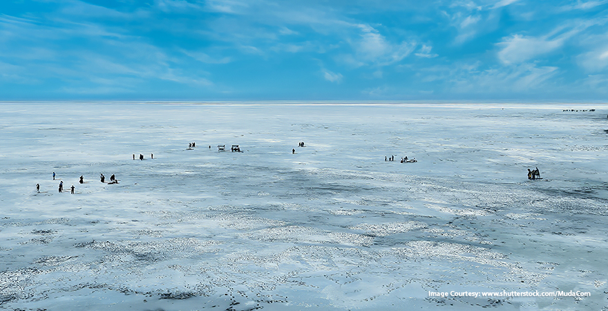 Praveg white rann desert