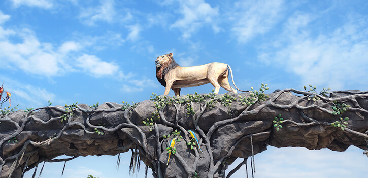 Jungle Safari - SOU