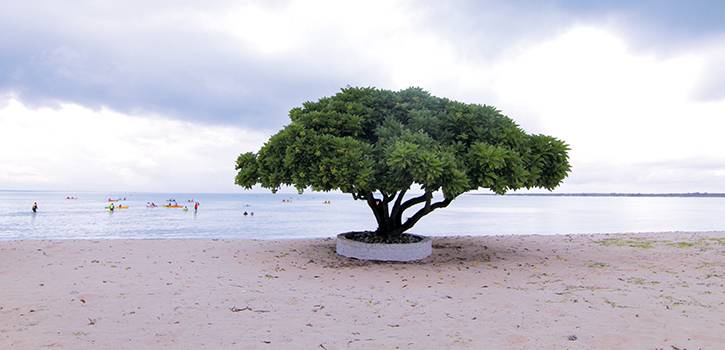 Lakshadweep's Unique Natural Wealth
