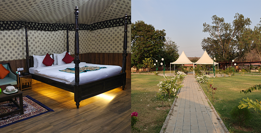 Luxury Stays Near Statue of Uinity