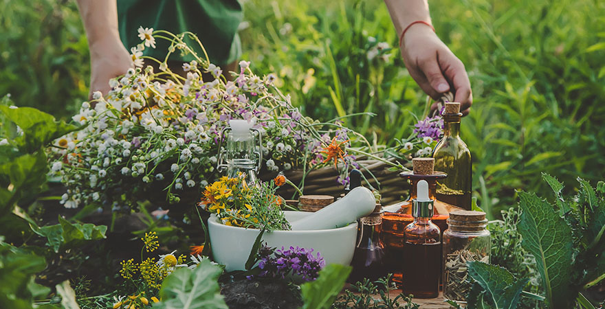 nature-based therapies
