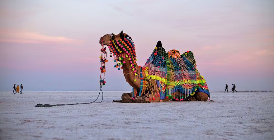 Perfect Accommodation Near White Desert