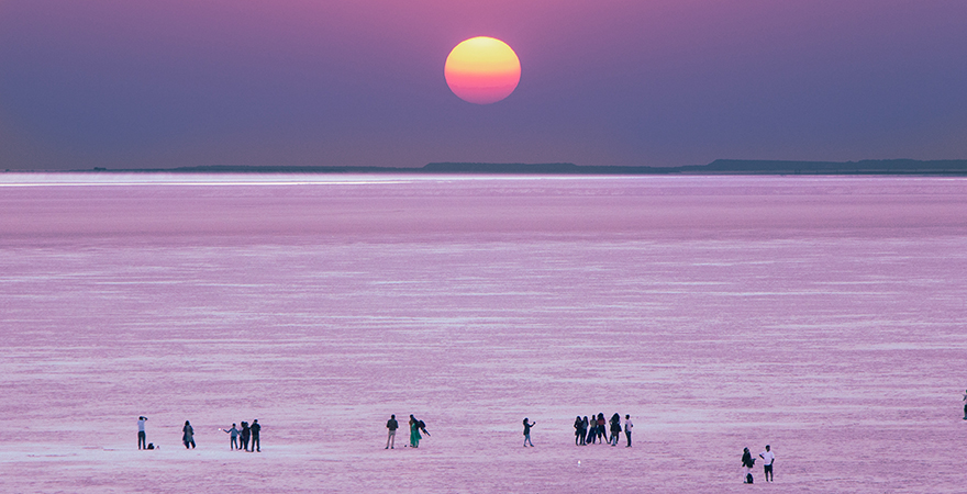Reach Rann of Kutch from Ahmedabad