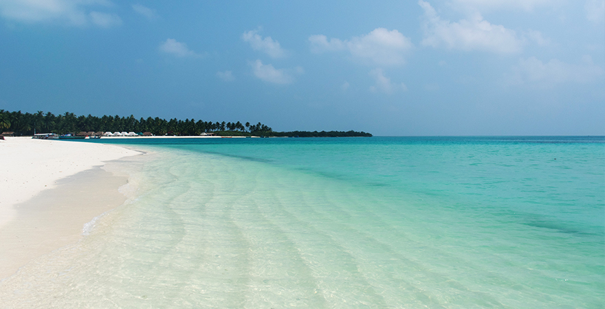 Tropical Island Paradise