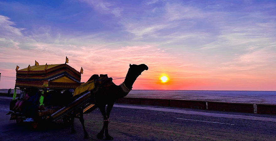 Unforgettable Rann Utsav Festival