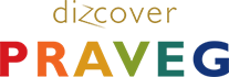 Praveg Limited