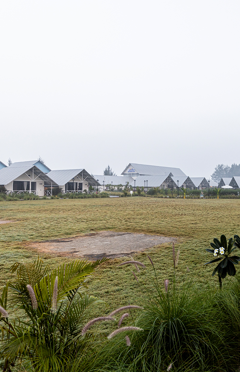 Rich Green Lawn
