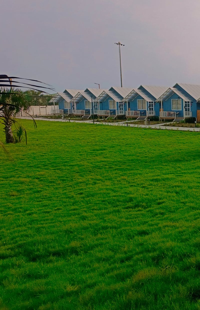 Rich Green Lawn