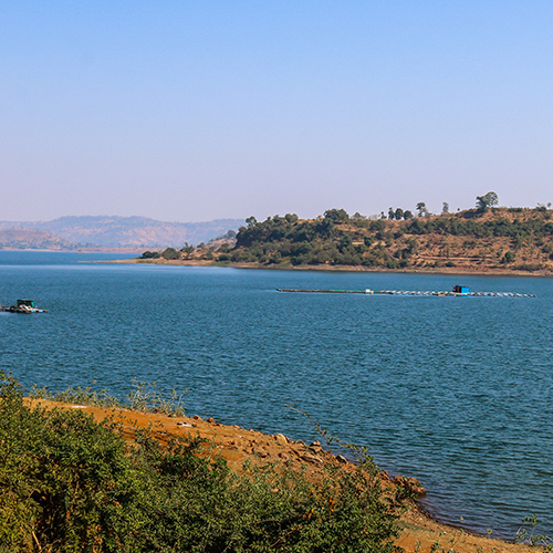Tent City Narmada