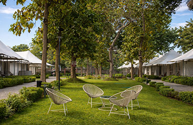 Green lawn near Brahma Kund Tent City Ayodhya