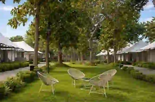 Green lawn near Brahma Kund Tent City Ayodhya