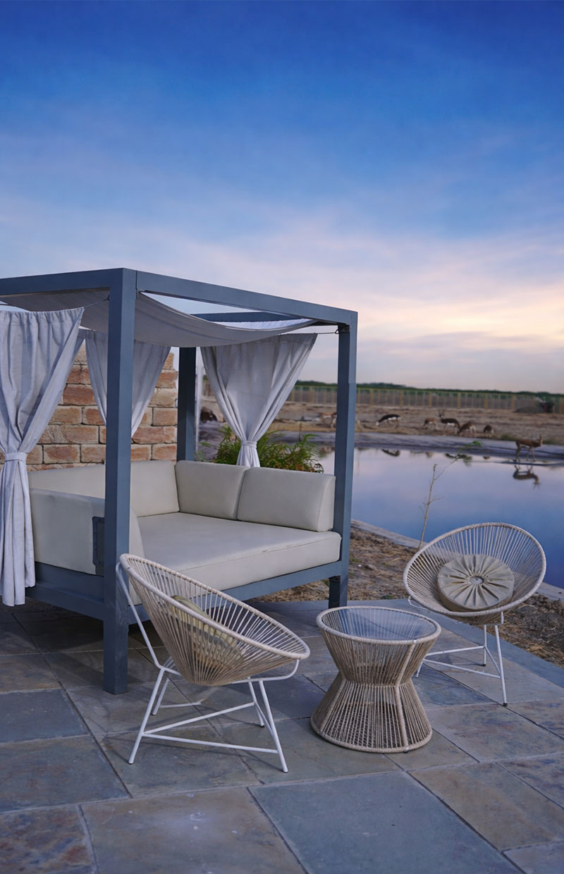 Relax in a Daybed Canopy