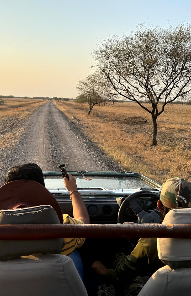 Jeep Safari