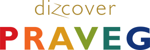 Praveg Limited